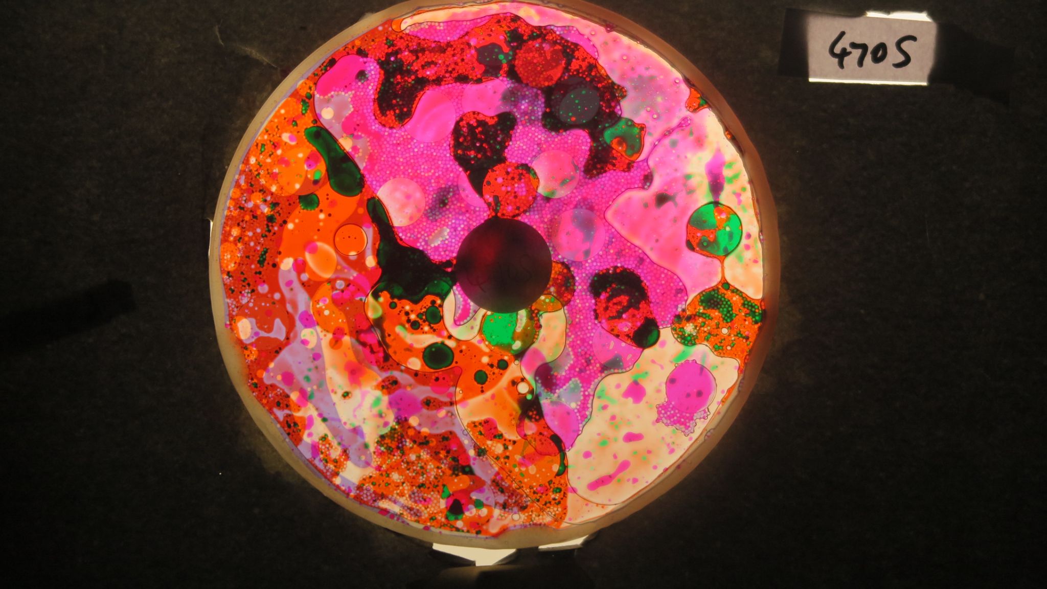 BV4705 bubble vision oil wheel